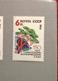 Флора Флора ^/--/^ СССР Флора 1962 ^_^^^ СРСР Флора 1962 - фото фото фото