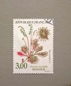 Флора Флора ^/--/^ Франция Флора Цветы 1992 ^_^^^ Франція Флора Квіти 1992 - фото фото фото