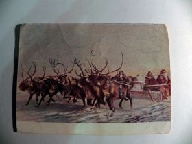 СРСР СССР ^/--/^ Традиционные гонки оленьих упряжек 1953 Липскеров Р /--/ 8 ^_^^^ Традиційні гонки оленячих упряжок 1953 Ліпскерів Р /--/ 8 - фото фото фото