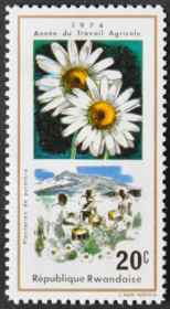 Інше Другое ^/--/^ Руанда Флора Цветы 1974 ^_^^^ Руанда Флора Квіти 1974 - фото фото фото