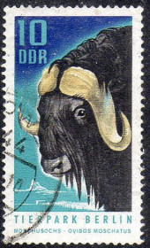 Інші країни Другие страны ^/--/^ НДР 1970 - Берлінський зоопарк  (Гб) ^_^^^ ГДР 1970 — Берлинский зоопарк (Гб) - фото фото фото