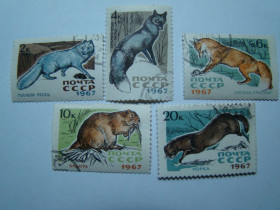 СРСР - СССР - ^/--/^ СССР, Михель  (2009), 3386-3389,3392. Пушные промысловые звери. ^_^^^ СРСР, Міхель (2009), 3386-3389,3392. Хутрові промислові звірі. - фото фото фото