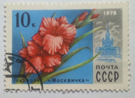 СРСР - СССР - ^/--/^ СССР 1978 Цветы, гладиолус, гашеная ^_^^^ СРСР 1978 Квіти, гладіолус, гашена - фото фото фото