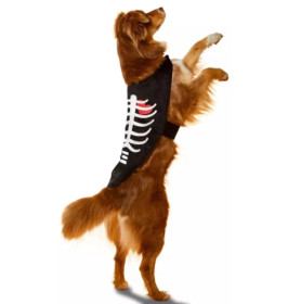 Одяг для тварин Одежда для животных ^/--/^ Костюм накидка для собак xs halloween ^_^^^ Костюм накидка для собак xs - фото фото фото