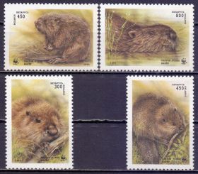 Країни СНД Страны СНГ ^/--/^ Беларусь 1995 фауна бобр 1-й выпуск Mi 96-99 MNH ^_^^^ Білорусь 1995 фауна бобр 1-й випуск Mi 96-99 MNH - фото фото фото