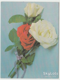 СРСР СССР ^/--/^ Поздравляю 1987 Савалова Миниоткрытка Цветы Р /--/ 8 ^_^^^ Вітаю 1987 Савалова Мінівідкритка Квіти Р /--/ 8 - фото фото фото