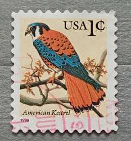 Фауна Фауна ^/--/^ США 1999 г - Американская пустельга  (American Kestrel), гаш ^_^^^ 1999 — Американська пустельга (American Kestrel), гаш - фото фото фото