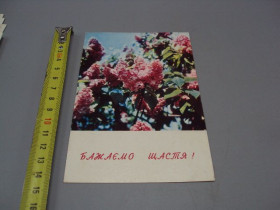 СРСР СССР ^/--/^ Открытка Желаем счастья! сирень фото И. Кропивницкого 1970 год №17989 ^_^^^ Бажаємо щастя! сирень фото І.Кропивницького 1970 рік No /--/ 17989 - фото фото фото