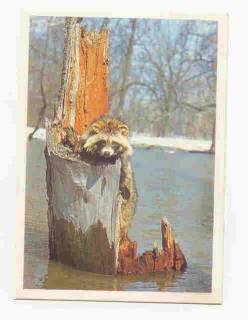 Календарі Календари ^/--/^ СССР 1990 Календарик Флора Фауна Звери ^_^^^ 1990 — Календарик Флора Фауна Звірі - фото фото фото