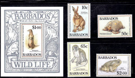 Фауна Фауна ^/--/^ Фауна . Барбадос 1989 г MNH - серия - блок + марки - ^_^^^ Фауна . Барбадос 1989 MNH - серія - блок + марки - - фото фото фото