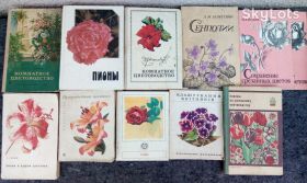 Видання - р. Издания - гг. ^/--/^ книги: ЦВЕТОВОДСТВО. СЕНПОЛИИ. СОХРАНЕНИЕ СРЕЗАННЫХ ЦВЕТОВ. ЛИЛИИ. РОЗЫ. ЦВЕТНИК ^_^^^ Книга: квітництво - фото фото фото
