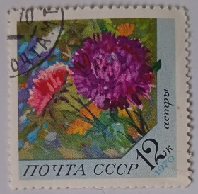 СРСР - СССР - ^/--/^ СССР 1970 Цветы, астры, гашеная (I) ^_^^^ СРСР 1970 Квіти, астри, гашена (I) - фото фото фото