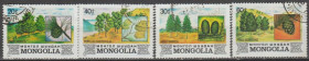 Флора Флора ^/--/^ Монголия 1982 флора деревья шишки ^_^^^ Монголія 1982 флора дерева шишки - фото фото фото