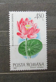 Флора Флора ^/--/^ Румунія, Лотос, 1980, марка з серії** ^_^^^ Румыния, Лотос, 1980, марка из серии** - фото фото фото