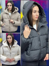 Куртки Куртки ^/--/^ Жіноча куртка демісезон-зима 42, 44, 46, 48 - 1388 ^_^^^ Женская куртка демисезон-зима 42, 44, 46 - 1388 - фото фото фото