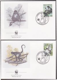 Центральна Америка Центральная Америка ^/--/^ Гондурас 1990 WWF ОБЕЗЬЯНЫ ПРИМАТЫ ДИКИЕ ЖИВОТНЫЕ МЛЕКОПИТАЮЩИЕ ФАУНА Четыре КПД Mi.1084-1087 Є13 $9.38 ^_^^^ Гондурас 1990 WWF ОБЕЗЯНЫЕ ПРИМАТЫ ДИКИЕ ЖИВОТНЫЕ МЛЕКОПИТАЮЩИЕ ФАУНА Четыре КПД Mi.1084-1087 Е /--/ 13 $9.36 - фото фото фото