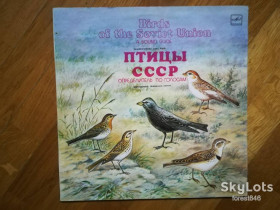 Платівки Пластинки ^/--/^ Птицы СССР-Определитель по голосам  (воробьиные)-NM-Мелодия ^_^^^ Птахи СРСР-Визначник за голосами (вороб'їні)-NM-Мелодія - фото фото фото