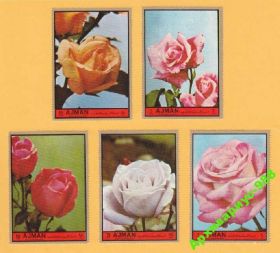 ОАЕ ОАЭ ^/--/^ ОАЭ 1970 ФЛОРА Аджман 5 /--/ м РОЗЫ Цветы Природа MNH** ^_^^^ ОАЕ 1970 ФЛОРА Аджман 5 /--/ м РОЗИ Квіти Природа MNH** - фото фото фото