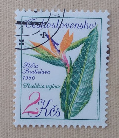 Флора Флора ^/--/^ Чехословакия 1980 г - Выставка цветов. Стрелиция королевская, гаш ^_^^^ Чехословаччина 1980 - Виставка квітів. Сторінка королівська, гаш - фото фото фото