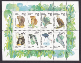 Фауна Фауна ^/--/^ Фауна . Россия  1993  г  MNH - к/б - ^_^^^ Росія 1993 MNH - к/б - - фото фото фото