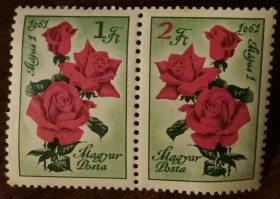 Угорщина Венгрия ^/--/^ Венгрия Цветы 1961 ^_^^^ Угорщина Квіти 1961 - фото фото фото