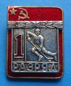 Спортивні Спортивные ^/--/^ 1 разряд хоккей ЭПРК накладной ^_^^^ 1 розряд хокей ЕПРК накладної - фото фото фото
