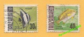 Фауна Фауна ^/--/^ ФАУНА ТАНЗАНИЯ Животные РЫБЫ Природа МОРЕ Гаш. 2 /--/ м ^_^^^ Фауна Танзанія Тварини Риби Природа Море Гаш. - фото фото фото