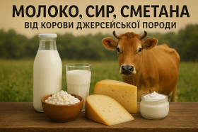 Сир Сыр ^/--/^ Молоко, сир, сметана від корови джерсейської породи. ^_^^^ Молоко, сыр, сметана от коровы джерсейской породы. - фото фото фото