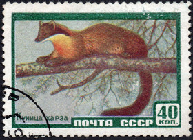 СРСР - СССР - ^/--/^ СРСР 1959 - Фауна СРСР  (Г) ^_^^^ СРСР 1959 — Фауна СРСР (Г) - фото фото фото