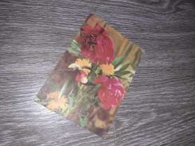 СРСР СССР ^/--/^ Открытка СССР цветы  1971 /--/ г. ^_^^^ Листівка СРСР квіти 1971 /--/ р. - фото фото фото
