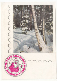 СРСР СССР ^/--/^ С новым годом 1967 Раскин Дергилев P /--/ 2 ^_^^^ 1967 — Раскін Дергілев P /--/ 2 - фото фото фото