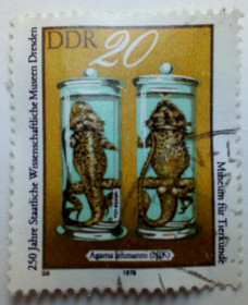 НДР, ФРН ГДР, ФРГ ^/--/^ ГДР 1978 Музей Дрездена, гашеная (I) ^_^^^ НДР 1978 Музей Дрездена, гашена (I) - фото фото фото