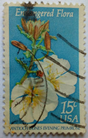 Північна Америка Северная Америка ^/--/^ США 1979 Цветы, флора, гашеная (II) ^_^^^ США 1979 Квіти, флора, гашена (II) - фото фото фото