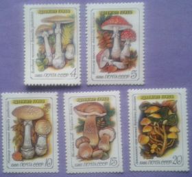 СРСР - СССР - ^/--/^ СССР 1986 флора грибы СК 5655-5659 MNH ^_^^^ СРСР 1986 флора гриби СК 5655-5659 MNH - фото фото фото