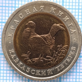 Після  После  ^/--/^ красная книга КАВКАЗСКИЙ ТЕТЕРЕВ ^_^^^ Червона книга Кавказький тетерів - фото фото фото