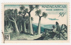 Мадагаскар Мадагаскар ^/--/^ Франция Колонии     (Мадагаскар)  1954 г. № 475 гашеная ^_^^^ Франція Колонії (Мадагаскар) 1954 р. No 475 гашена - фото фото фото