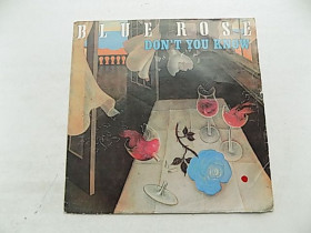 Платівки Пластинки ^/--/^ Виниловая пластинка Blue Rose - Don`t You Know, Don`t Stop Пр-во Голландия ^_^^^ Blue Rose - Don't You Know, Don't Stop Пр-во Голландія - фото фото фото