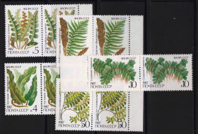 СРСР - СССР - ^/--/^ ZM  СССР 1987  г  MNH флора ^_^^^ ZM СРСР 1987 р MNH флора - фото фото фото