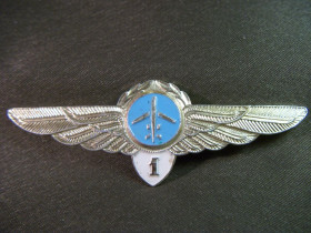 Відзнаки Знаки отличий ^/--/^ 5.334 Знак классность ГВФ, летчик гражданской авиации, аэрофлот, летчик 1 класса. Легкий металл. ^_^^^ 5.334 Знак класність ГВФ, льотчик цивільної авіації, аерофлот, льотчик 1 класу. Легкий метал. - фото фото фото