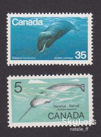 Фауна Фауна ^/--/^ NM Фауна Канада  MNH - ^_^^^ NM Фауна Канада MNH - фото фото фото