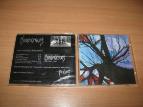 Музичні диски Музыкальные диски ^/--/^ CEREMONIUM - Into The Autumn Shade   (1995 Fadeless) ^_^^^ CEREMONIUM - Into The Autumn Shade (1995) - фото фото фото
