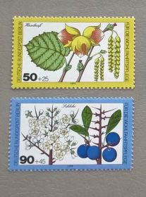 Флора Флора ^/--/^ Германия Берлин Флора 1979 ^_^^^ Німеччина Берлін Флора 1979 - фото фото фото