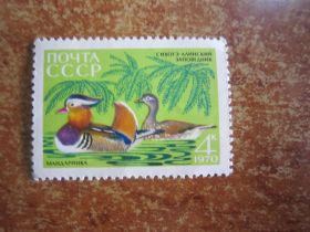 СРСР - СССР - ^/--/^ СССР. 1970. 19 АВГУСТА.  35 ЛЕТ СИХОТЕ- АЛИНСКОМУ ГОСУДАРСТВЕННОМУ  ЗАПОВЕДНИКУ  ** № 3836 ^_^^^ СРСР. 1970. 19 серпня. 35 років Сихоте-Алінському державному заповіднику ** No 3836 - фото фото фото