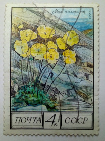 СРСР - СССР - ^/--/^ СССР 1975 Цветы, мак полярный, гашеная ^_^^^ СРСР 1975 Квіти, мак полярний, гашена - фото фото фото