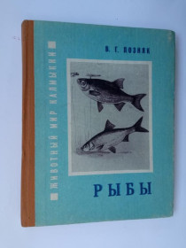 Видання - р. Издания - гг. ^/--/^ ПОЗНЯК В. ЖИВОТНЫЙ МИР КАЛМЫКИИ. РЫБЫ. Элиста. КАЛМЫЦКОЕ КИ. 1987 /--/ г. 110 с. Тираж 5000 экз. СОСТОЯНИЕ ^_^^^ Позняк В. Тваринний світ Калмикії. Риби. Еліст. Калмицьке кі. 1987 /--/ р. 110 с. Тираж 5000 екз. Стан - фото фото фото