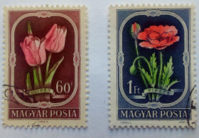 Угорщина Венгрия ^/--/^ Венгрия 1951 Цветы, флора, гашеные  (КЦ=2,7 евро) ^_^^^ Угорщина 1951 Квіти, флора, гашені (КЦ=2,7 євро) - фото фото фото