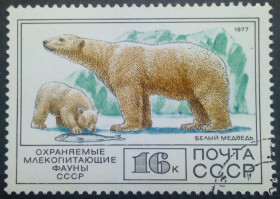 СРСР - СССР - ^/--/^ СССР 1977 Фауна, Белый медведь, гашеная ^_^^^ СРСР 1977 Фауна, Білий ведмідь, гашена - фото фото фото