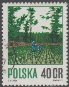 Польща Польша ^/--/^ Польша 1971 лесопитомник ^_^^^ Польща 1971 лісопитомник - фото фото фото