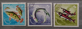 Фауна Фауна ^/--/^ Монголия 1965 г - рыбы, 6 шт  (см.фото) ^_^^^ Монголія 1965 р - риби, 6 шт (див.фото) - фото фото фото