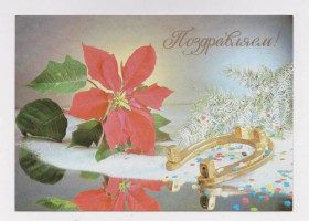 СРСР СССР ^/--/^ ПОЗДРАВЛЯЕМ - С НОВЫМ ГОДОМ  1989 г.   фото КИНДРОВА  чистая  ^_^^^ Вітаємо - з новим роком 1989 р. фото Кіндрова чиста - фото фото фото